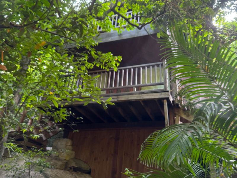 
Hill Rock Pool Villa private pool surrounded by jungle at L'Alya Ninh Van Bay