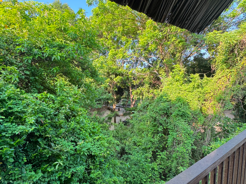 Panoramic Ninh Van Bay view from hilltop overlooking tropical forest at L'Alya Ninh Van Bay luxury resort Vietnam